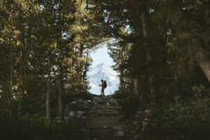 Photo by Peter Thomas on Unsplash