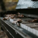 Photo by Ivan Kuznetsov on Unsplash