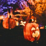 Photo by Steven Van Elk on Unsplash